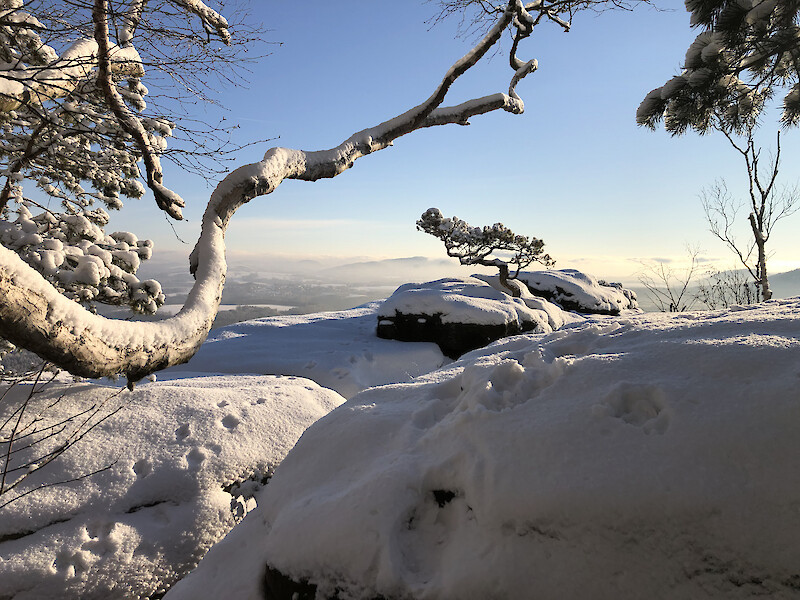 Winter auf dem Lilienstein