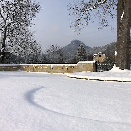 Schlossgarten im Winter