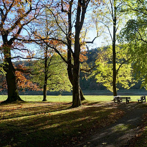 Schlosspark