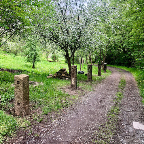 Obstwiese