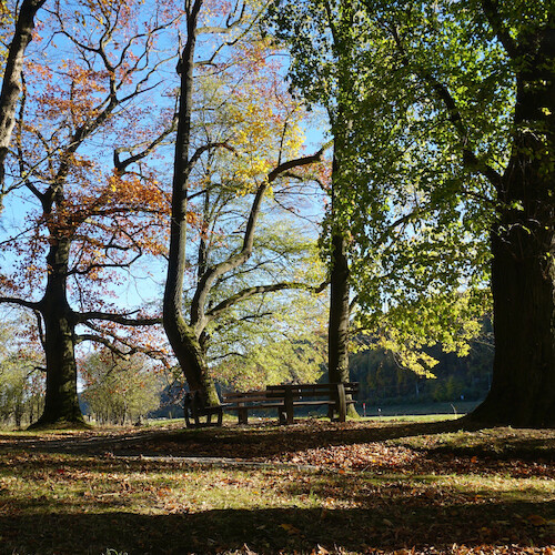 Schlosspark