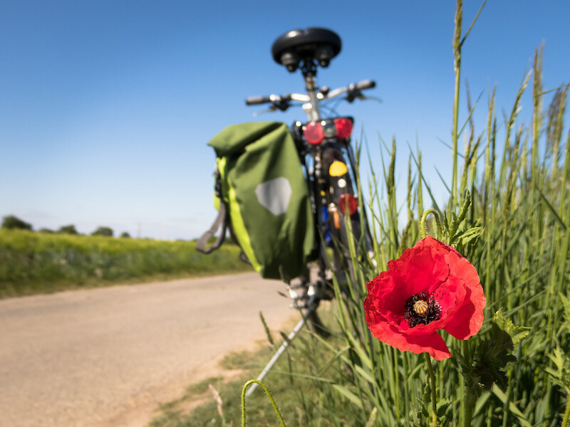 Fahrrad am Wegesrand