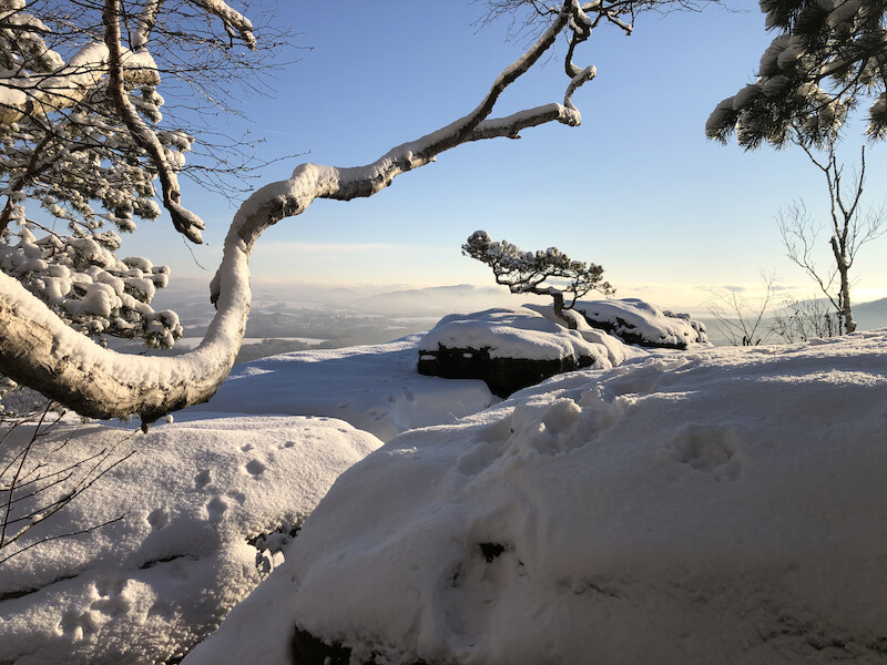 Winter auf dem Lilienstein
