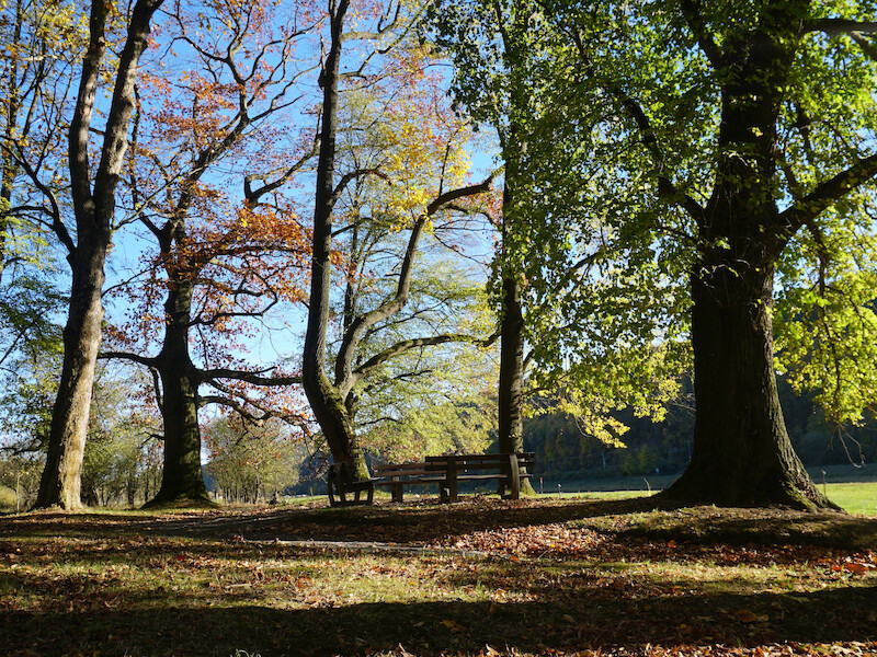 Schlosspark